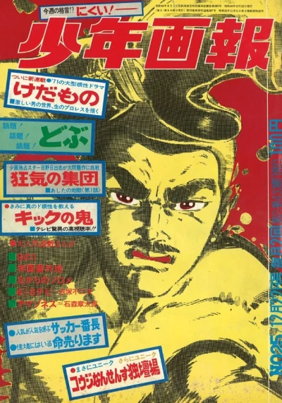 Cover of Issue #197025