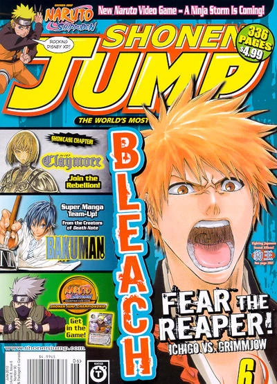 Cover of Volume 8, Issue 6 - Bleach: Fear the Reaper