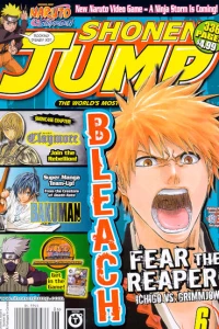 Volume 8, Issue 6 - Bleach: Fear the Reaper