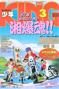 No. 3, 1987