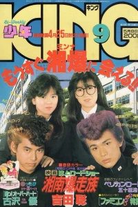 No. 9, 1987