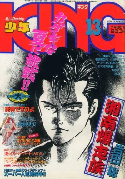 Cover of No. 13, 1987