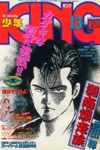No. 13, 1987