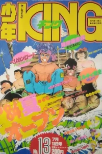 No. 13, 1984