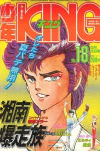 No. 18, 1984