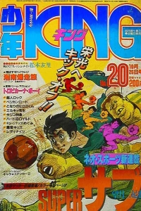 No. 20, 1984