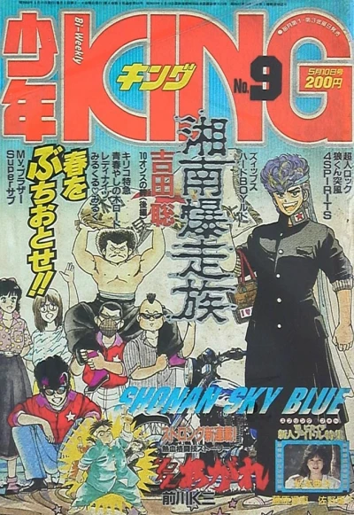 Cover of No. 9, 1985