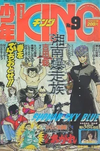 No. 9, 1985