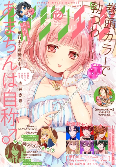 Cover of No. 12, 2020