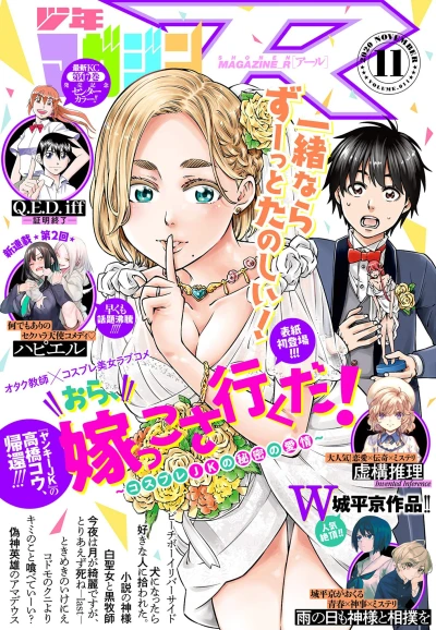 Cover of Volume.011