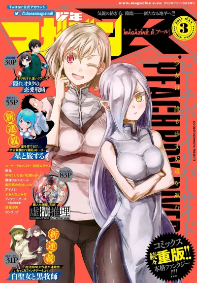 Cover of Volume.013
