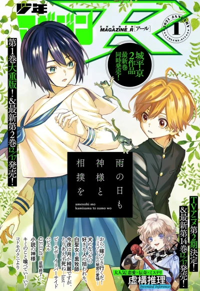 Cover of Volume.013