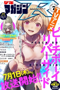 Volume.019