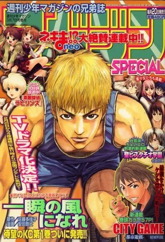 Cover of No. 3, 2008
