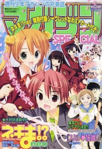 Cover of No. 4, 2008