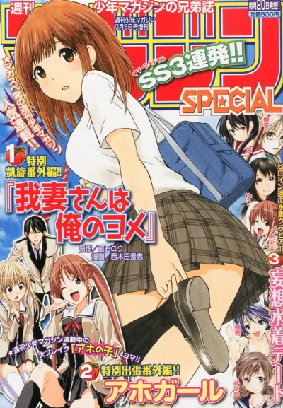 Cover of No. 7, 2013