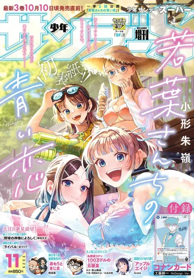 Cover of No. 11, 2025