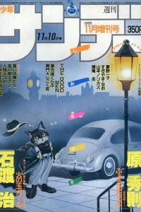 No. 11, 1985