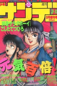 No. 3, 1987