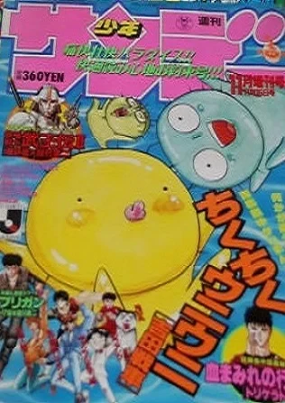 Cover of No. 11, 1993