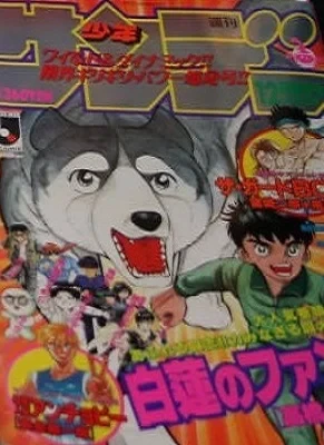 Cover of No. 12, 1993