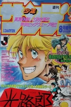 Cover of No. 8, 1993
