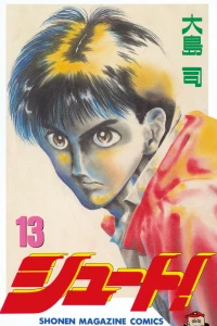 Volume 13