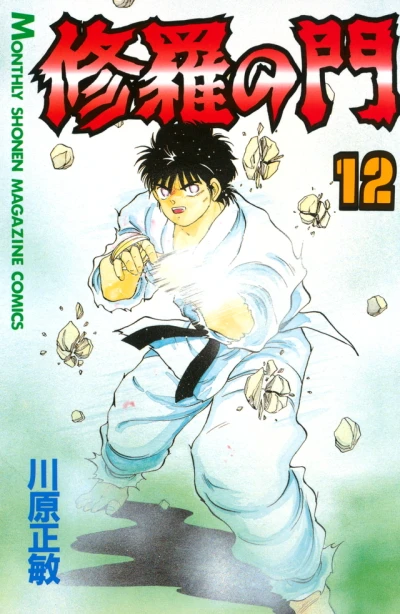 Cover of Vol. 12