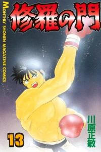 Vol. 13