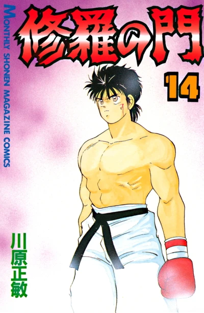 Cover of Vol. 14