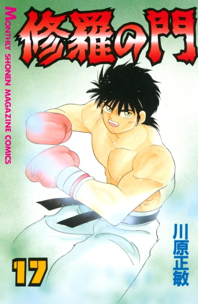 Cover of Vol. 17