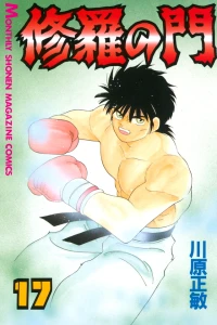 Vol. 17