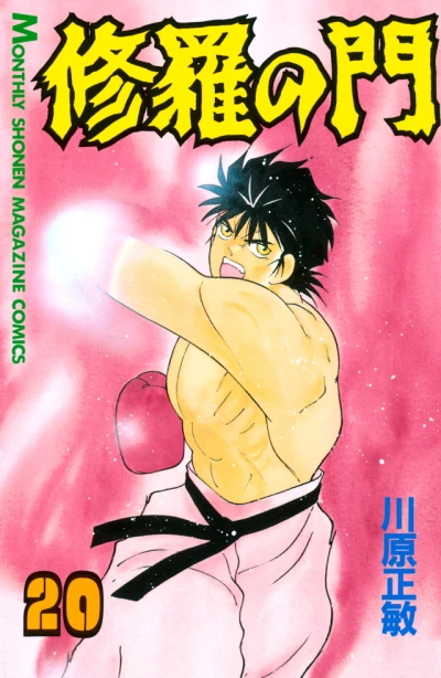 Cover of Vol. 20