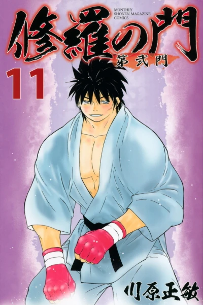 Cover of Vol. 11