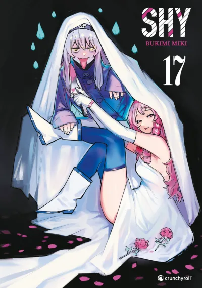 Cover of Band 17