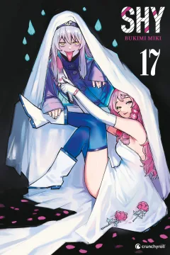 Band 17