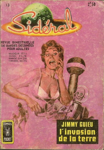 Cover of Issue #13