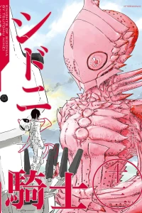 Vol. 13