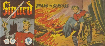 Cover of Brand im Schloss