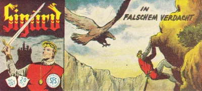 Cover of In Falschem Verdacht