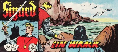 Cover of Nur ein Wrack