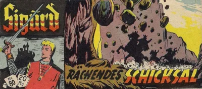 Cover of Rächendes Schicksal