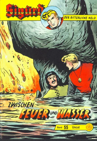Cover of Zwischen Feuer und Wasser