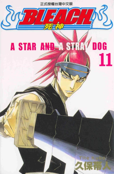 Cover of A Star and A Stray Dog