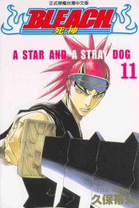 A Star and A Stray Dog