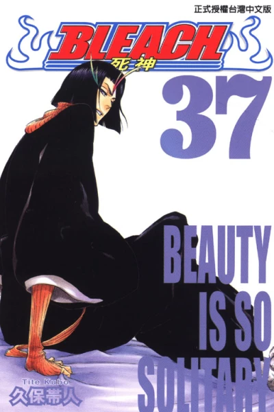 Cover of Beauty Is So Solitary