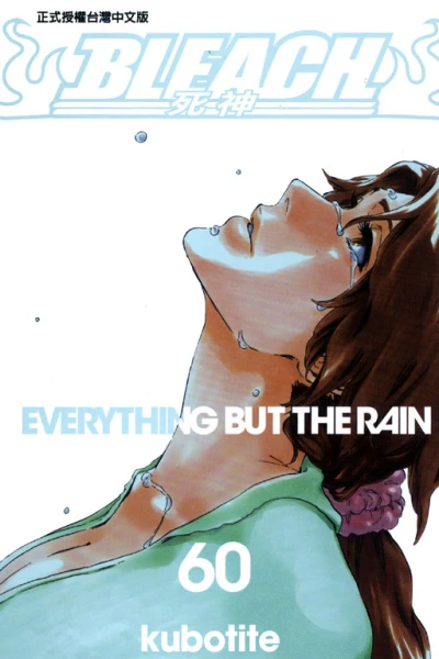 Cover of Everything But the Rain