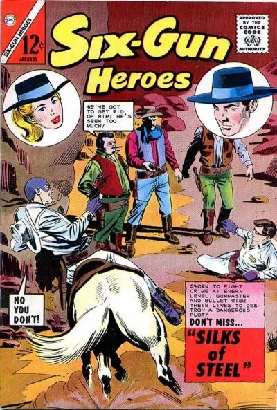 Cover of Silks of Steel
