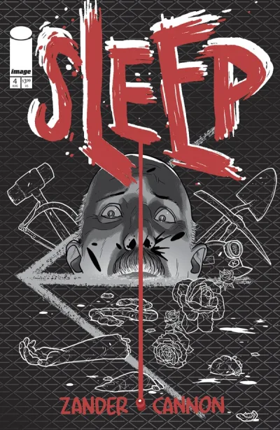 Cover of Chapter Four