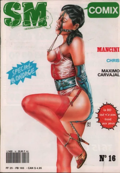 Cover of Issue #16